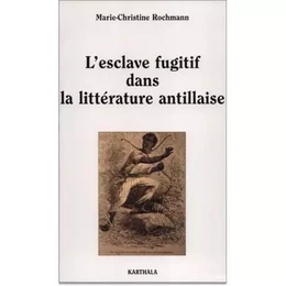 L'esclave fugitif dans la littérature antillaise - sur la déclive du morne