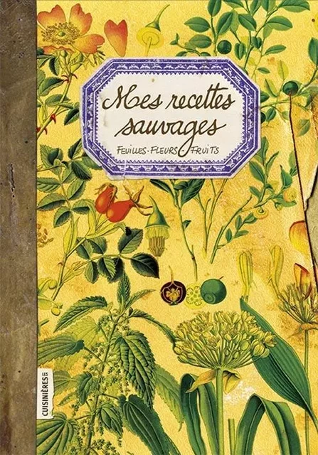 Mes recettes Sauvages - Nuria Pastor Martinez - CUISINIERES