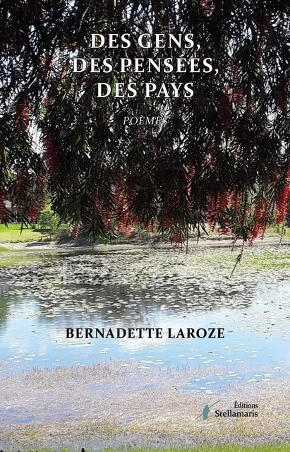 Des gens, des pensées, des pays - Bernadette Laroze - STELLAMARIS