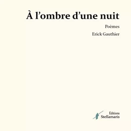 À l'ombre d'une nuit