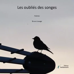 Les oubliés des songes