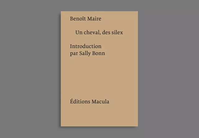 Un cheval, des silex - Benoît Maire - Macula Éditions