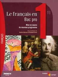 Le français en bac pro, 1re - mise en oeuvre du nouveau programme