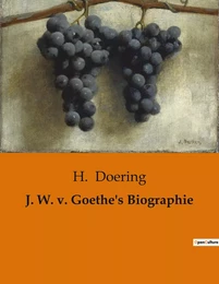 J. W. v. Goethe's Biographie