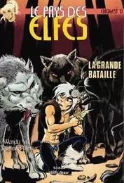 Le Pays des elfes - Tome 17