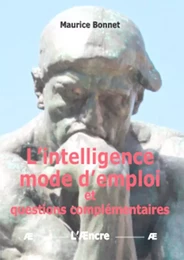 L’intelligence mode d’emploi et questions complémentaires