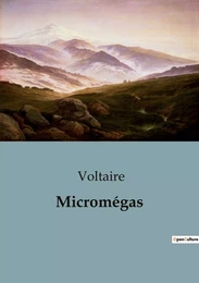 Micromégas