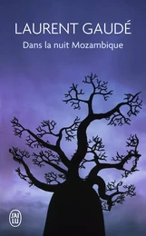 Dans la nuit mozambique