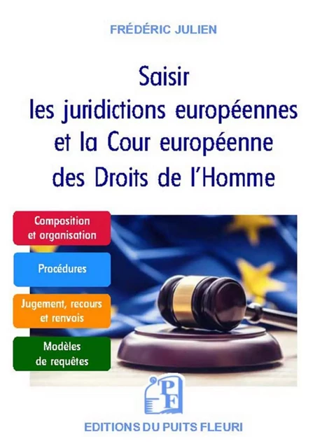 Saisir les juridictions européennes et la Cour européenne des Droits de l'Homme - Frédéric Julien - PUITS FLEURI