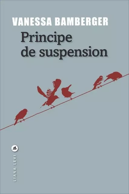 Principe de suspension - Vanessa Bamberger - LEVI