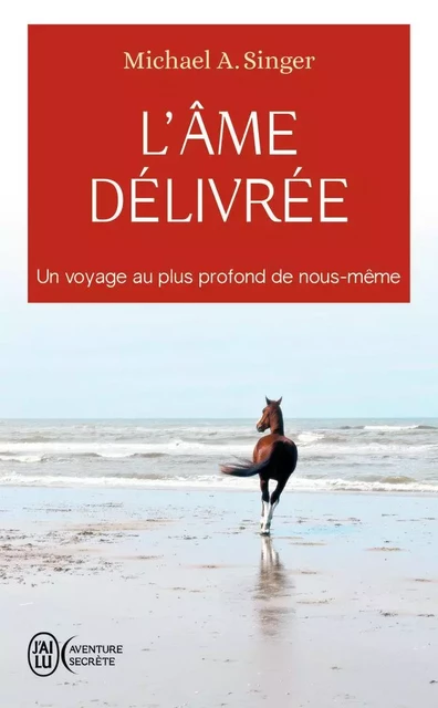 L'âme délivrée - Michael A. Singer - J'AI LU