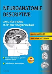 Neuroanatomie descriptive