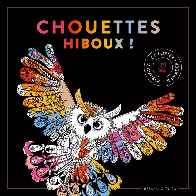 Black coloriage Chouettes hiboux -  - DESSAIN TOLRA