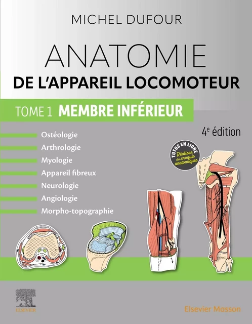 Anatomie de l'appareil locomoteur - Tome 1. Membre inférieur - Michel Dufour - MASSON