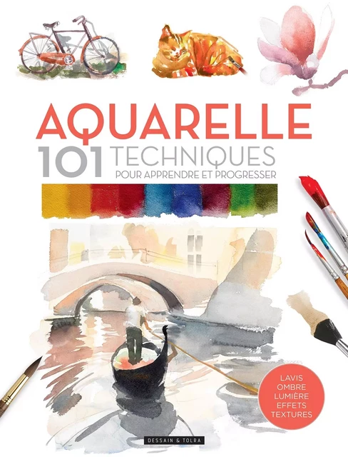 Aquarelle 101 techniques pour apprendre et progresser - David Sanmiguel - DESSAIN TOLRA