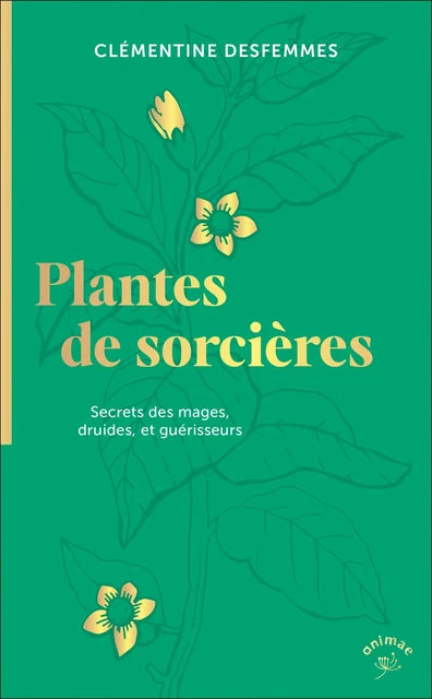 Plantes de sorcières - Clémentine Desfemmes - ANIMAE