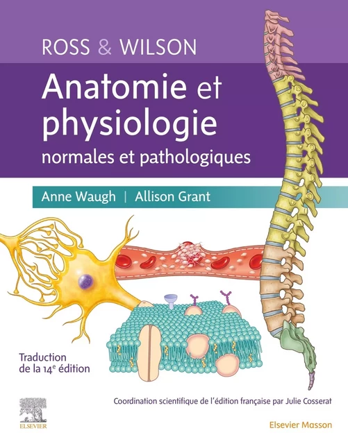 Ross et Wilson. Anatomie et physiologie normales et pathologiques - Anne Waugh, Allison Grant - MASSON