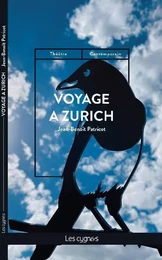 Voyage à Zurich