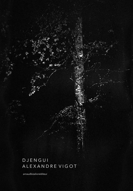 Djengui -  - ARNAUD BIZALION