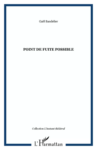 Point de fuite possible - Gaël Bandelier - Editions L'Harmattan