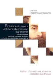 PROTECTION DU MINEUR ET LIBERTÉ D'EXPRESSION SUR INTERNET