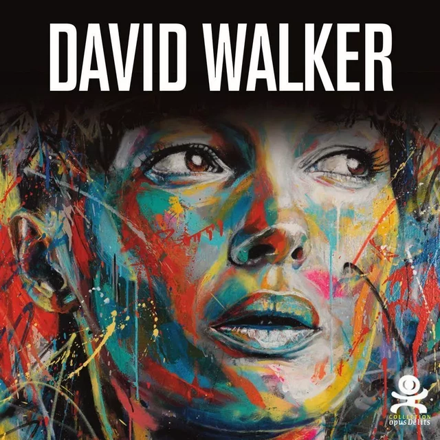 David Walker - Beautiful Chaos - Marie Aschehoug-Clauteaux - Critères