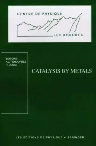 Catalysis by metals -  RENOUPREZ/JOBIC - EDP SCIENCES