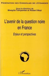 L'avenir de la question noire en France