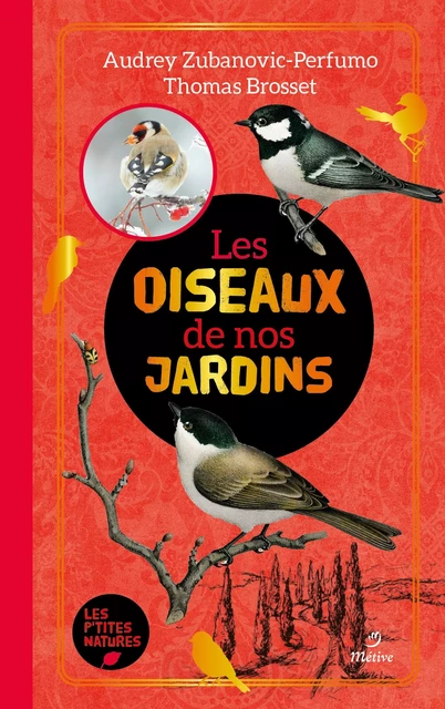 Les oiseaux de nos jardins - Thomas BROSSET, Audrey Zubanovic-Perfumo - METIVE