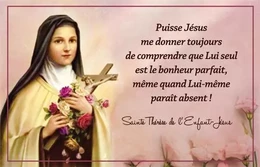 Images sainte Thérèse de l'enfant-Jésus par lot de 20