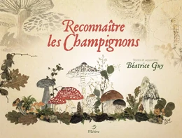 Reconnaître les champignons