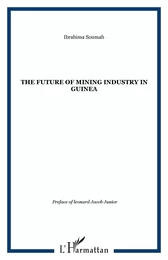 The future of Mining Industry in Guinea