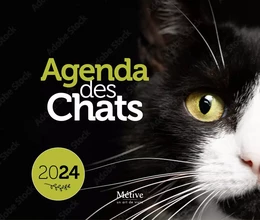 Agenda des chats 2024