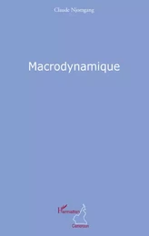 Macrodynamique