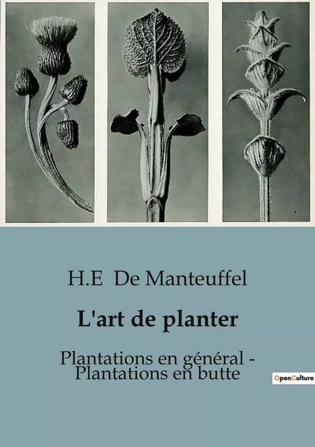 L'art de planter : Plantations en général - Plantations en butte - H.-E. De Manteuffel - CULTUREA