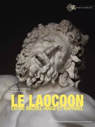 Le Laocoon entre Michel-Ange et Raphaël