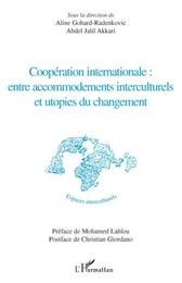 Coopération internationale : entre accommodements interculturels et utopies du changement