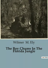 The Boy Chums In The Florida Jungle