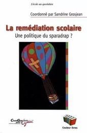 REMEDIATION UNE POLITIQUE DU SPARADRAP