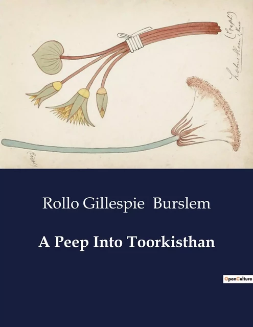 A Peep Into Toorkisthan - Rollo Gillespie Burslem - CULTUREA