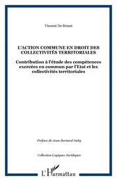 L'action commune en droit des collectivités territoriales