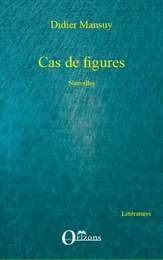 Cas de figures