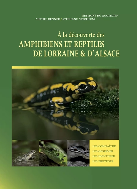 A la découverte des Amphibiens et reptiles de Lorraine et d'Alsace - Vitzthum et Renner - DU QUOTIDIEN