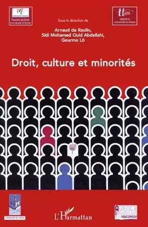 Droit, culture et minorités - Arnaud De Raulin, Gourmo Lo, Sidi Mohamed Ould Abdallahi - Editions L'Harmattan