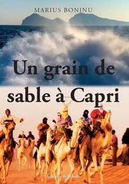 UN GRAIN DE SABLE A CAPRI