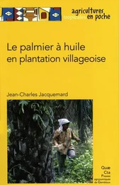 LE PALMIER A HUILE EN PLANTATION VILLAGEOISE