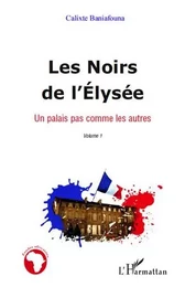 Les Noirs de l'Elysée