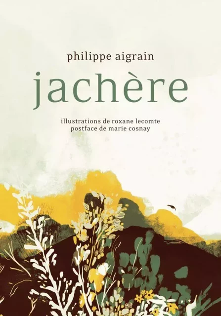 Jachère - Philippe Aigrain - PUBLIE NET