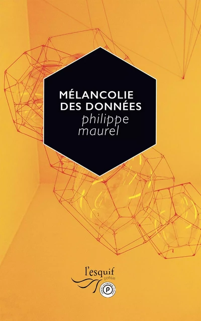 Mélancolie des données - Philippe Maurel - PUBLIE NET