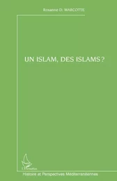 Un islam, des islams ?